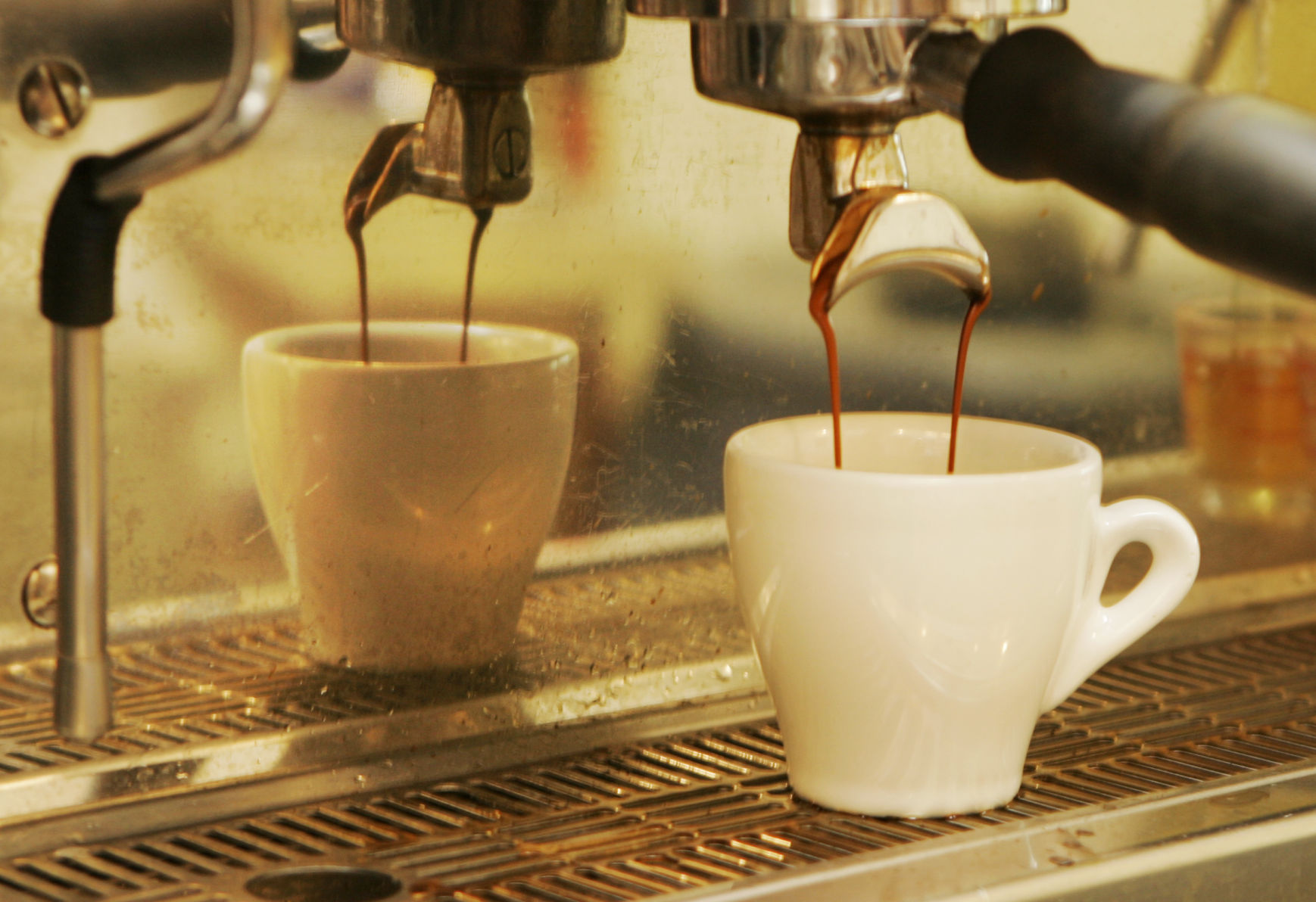 Coffee Longevity